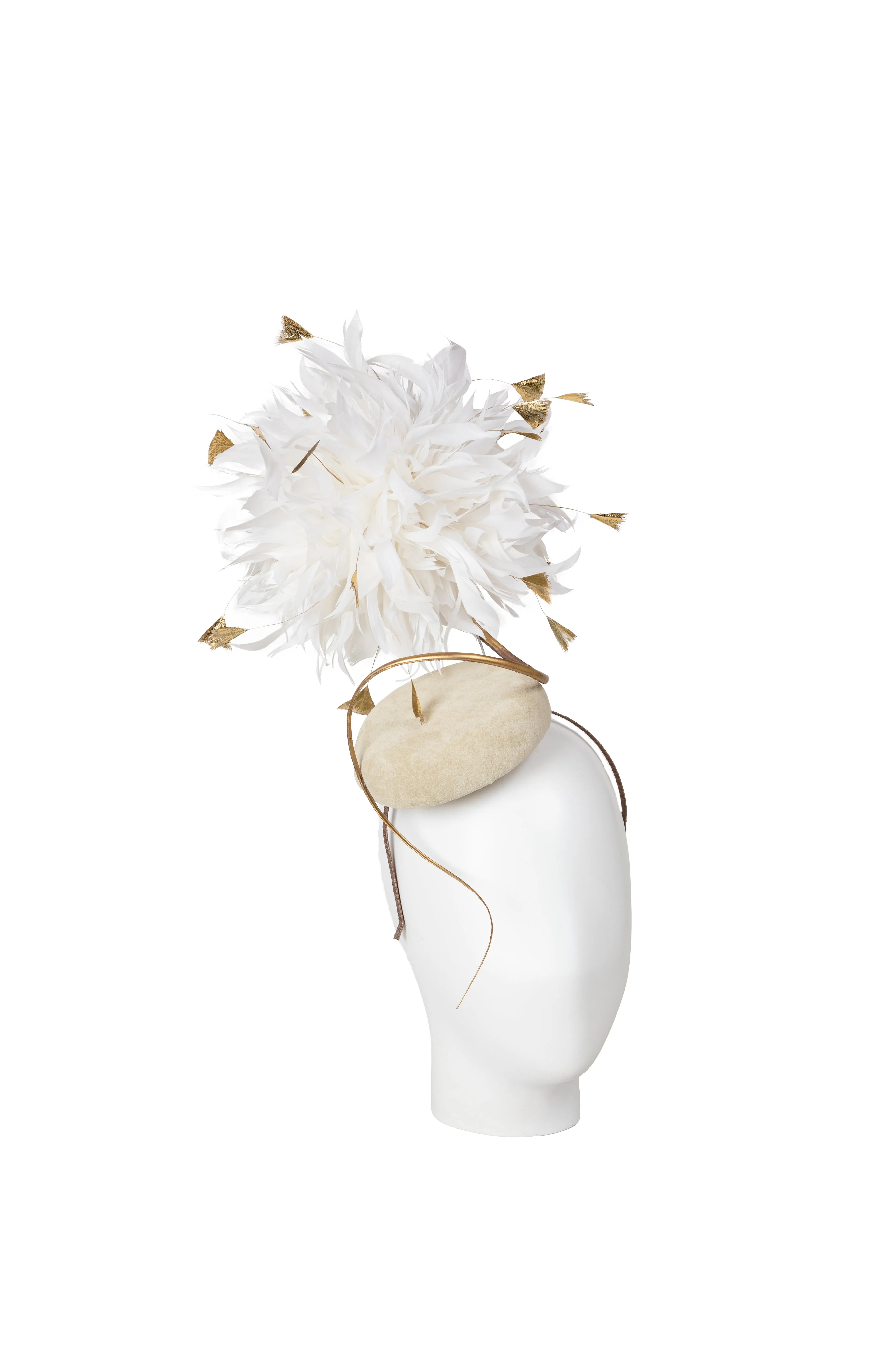 Allium