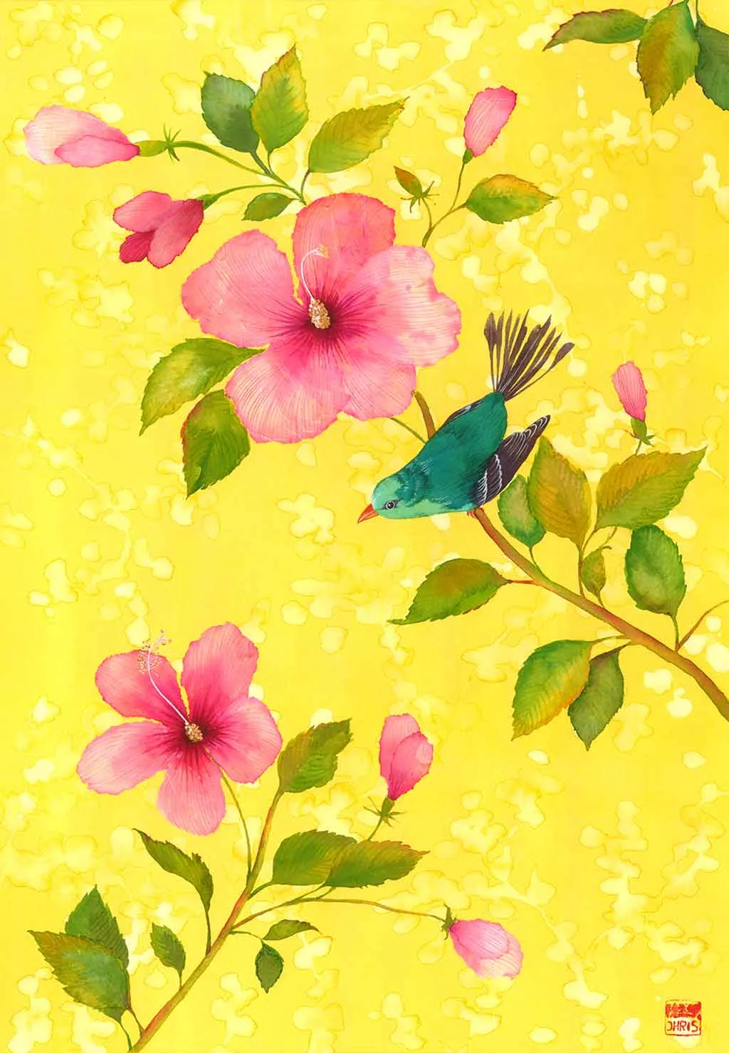Hibiscus With Bird